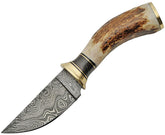 Damascus Skinner Stag DM-1188