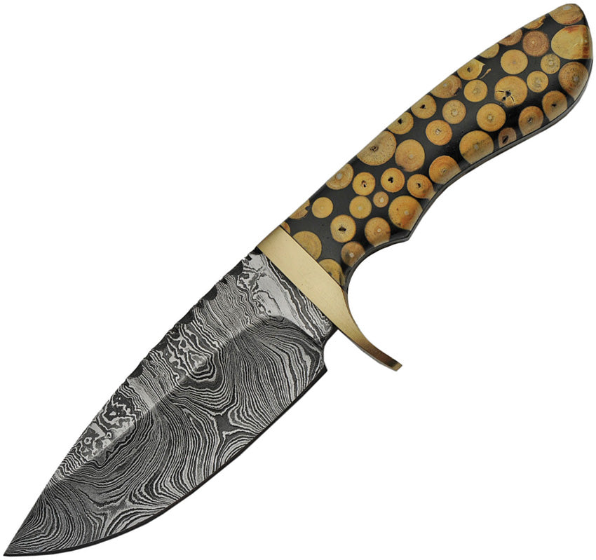 Damascus Fixed Blade Knotted Wood DM-1210